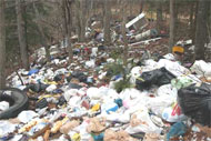 Illegal Dumping